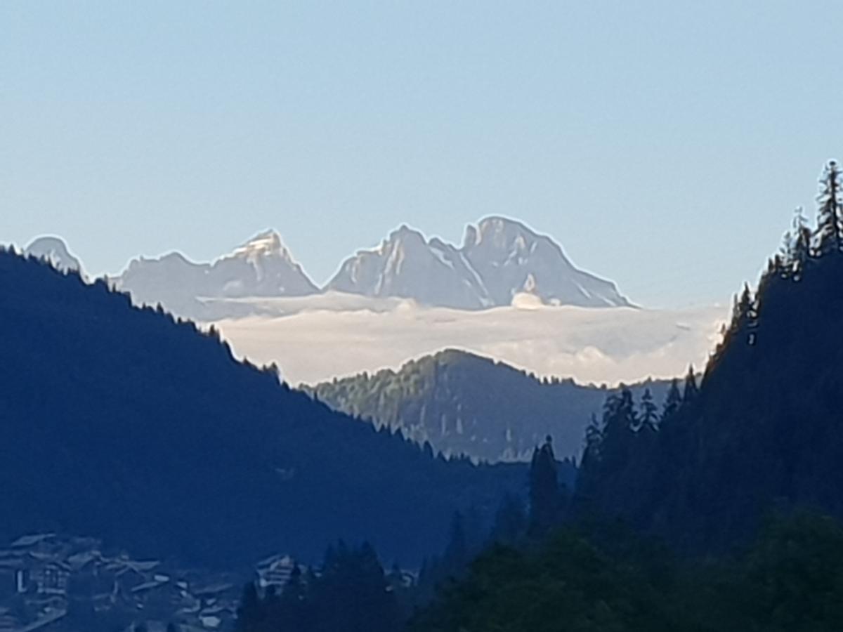 Chalet La Sapiniere Abondance Eksteriør bilde
